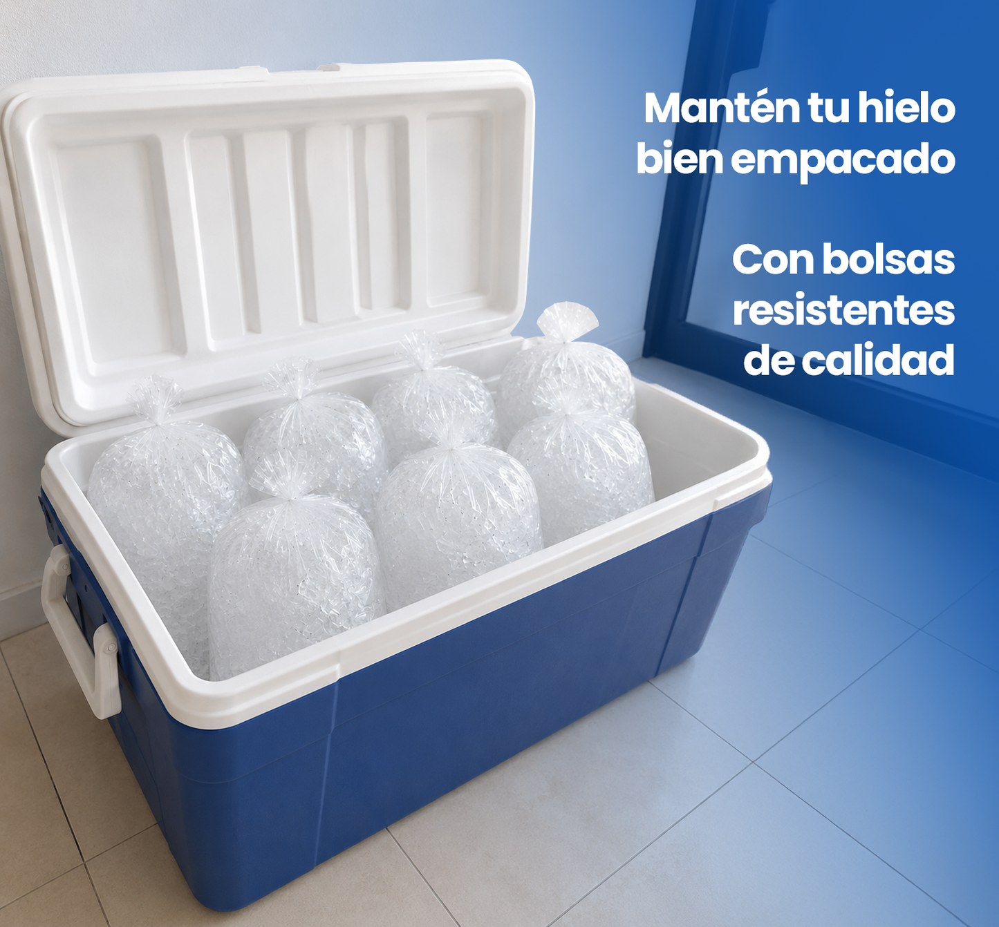 Bolsa Para Hielo 30x60 cm. Calibre 300 Caja 10 kilos (Envio gratis)